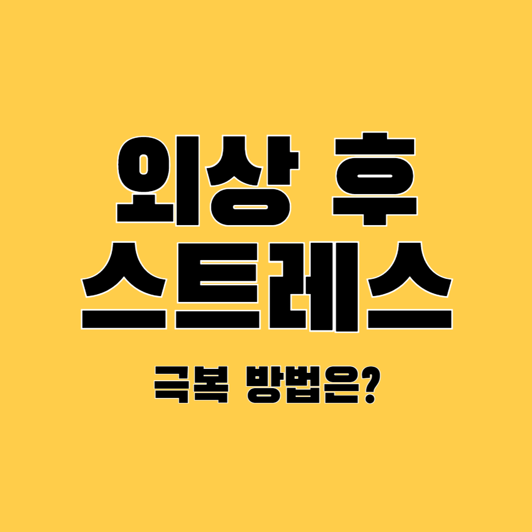 외상-후-스트레스