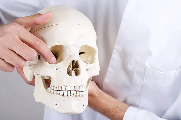 안와골절의 원인과 치료 방법: 골든타임을 지켜야 하는 이유 3가지 1 안와골절