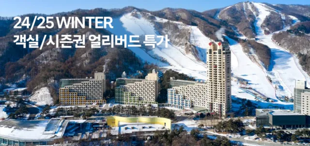 눈과 함께 떠나는 국내 겨울 여행지 TOP 7 3 겨울 리조트 특가